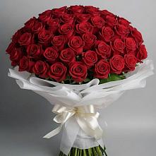 Букет 101 Красная роза Блэк Мэджик #REPLACE_PRED# Мордвес