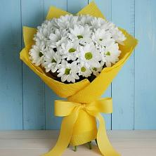 Букет цветов из:  Хризантемы в Мордвес