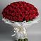 Букет 101 Красная роза Блэк Мэджик в Мордвес