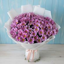 Букет цветов из:  Хризантемы в Мордвес
