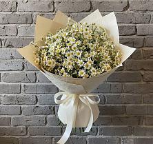 Букет цветов из:  Ромашки #REPLACE_PRED# Мордвес