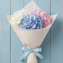 Букет цветов из:  Гортензия в Мордвес