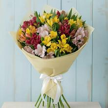 Букет цветов из:  Альстромерии в Мордвес