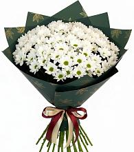 Букет цветов из:  Хризантемы #REPLACE_PRED# Мордвес