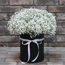 Цветочная композиция из Гипсофила в шляпной коробке в Мордвес