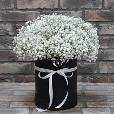 Цветочная композиция из Гипсофила в шляпной коробке в Мордвес