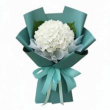 Букет цветов из:  Гортензия #REPLACE_PRED# Мордвес